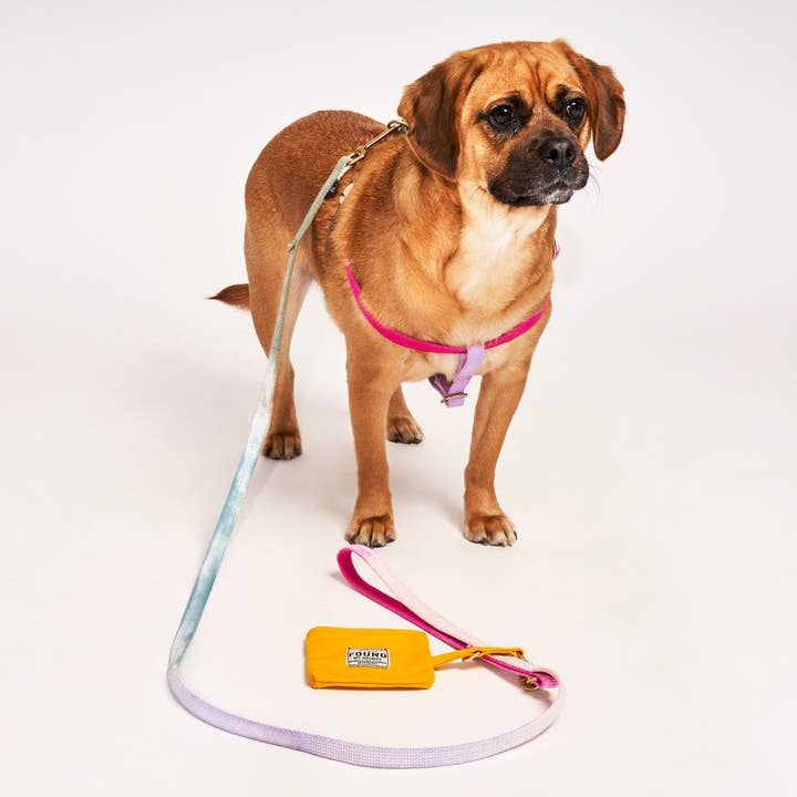 Found My Animal - Wholesale Pet poo bag dispenser - Found My Animal Sol Dog Poop Bag Pouch4