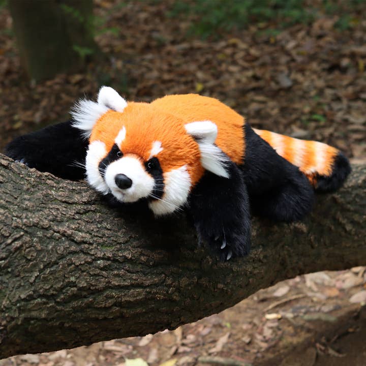 Chongker - Wholesale Stuffed/Plush Toy - Kids & Baby - Red Panda Weighted Plush – Snuggle Toy for Stress Relief6