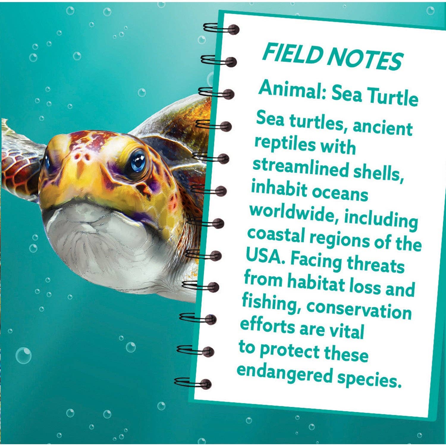 Masterpieces Puzzles - Wholesale Puzzle - Kids - Sea Turtle 100 Piece Shaped Jigsaw Puzzle1