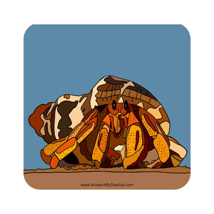 "Hermit Crab" | Vinyl Sticker | Colored Drawing for wholesale by Artwork by Sophia