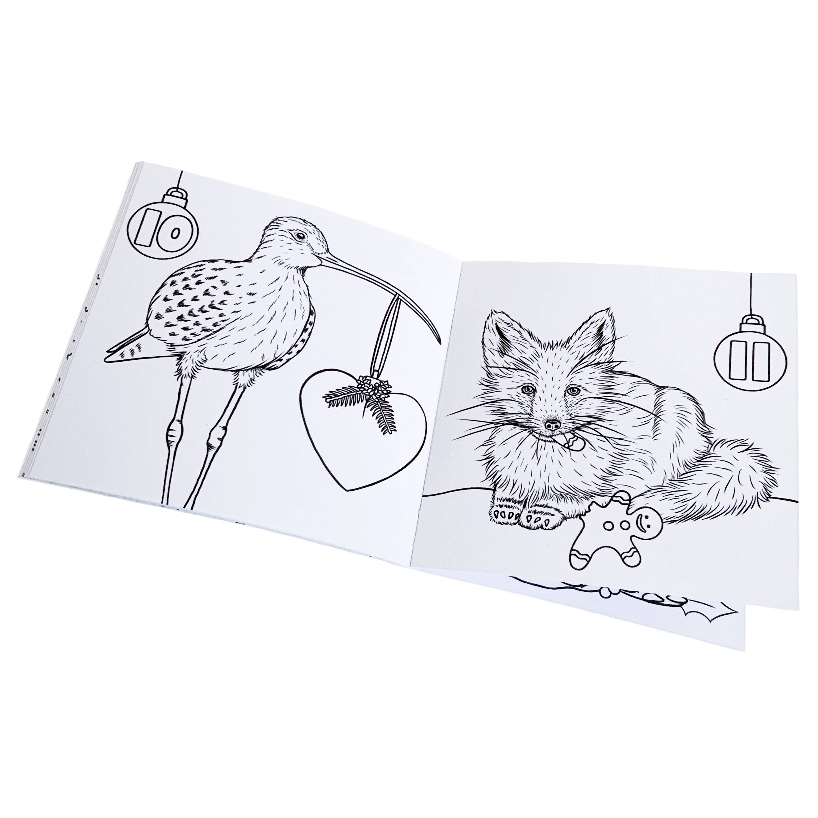 Wild Lines - Wholesale Coloring & Activity Book - Kids & Baby - Wild Advent Colouring Book - Kids Advent Calendar Activity4