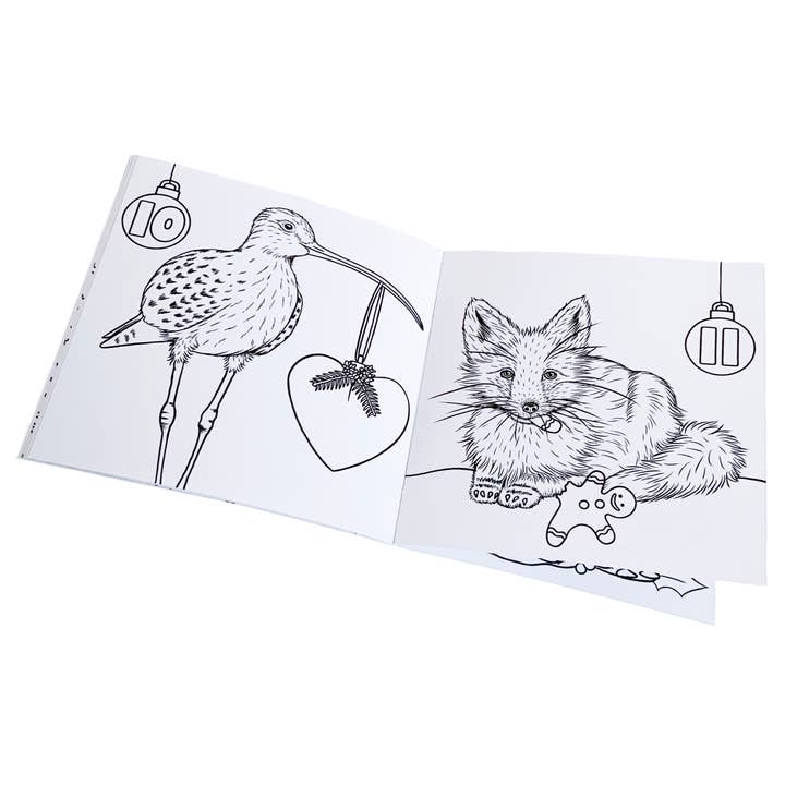 Wild Lines - Wholesale Coloring & Activity Book - Kids & Baby - Wild Advent Colouring Book - Kids Advent Calendar Activity4