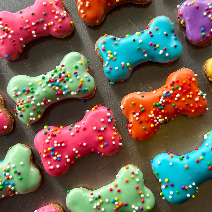 YumYum4DOGS - Wholesale Pet Treats - Dog - Mini Funsies bone dog treats9