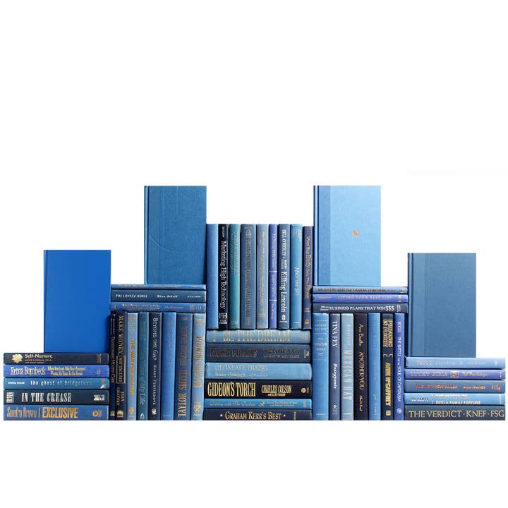 Decorative Blue Books - Denim Book Wall - Set of 50 for wholesale by Booth & Williams