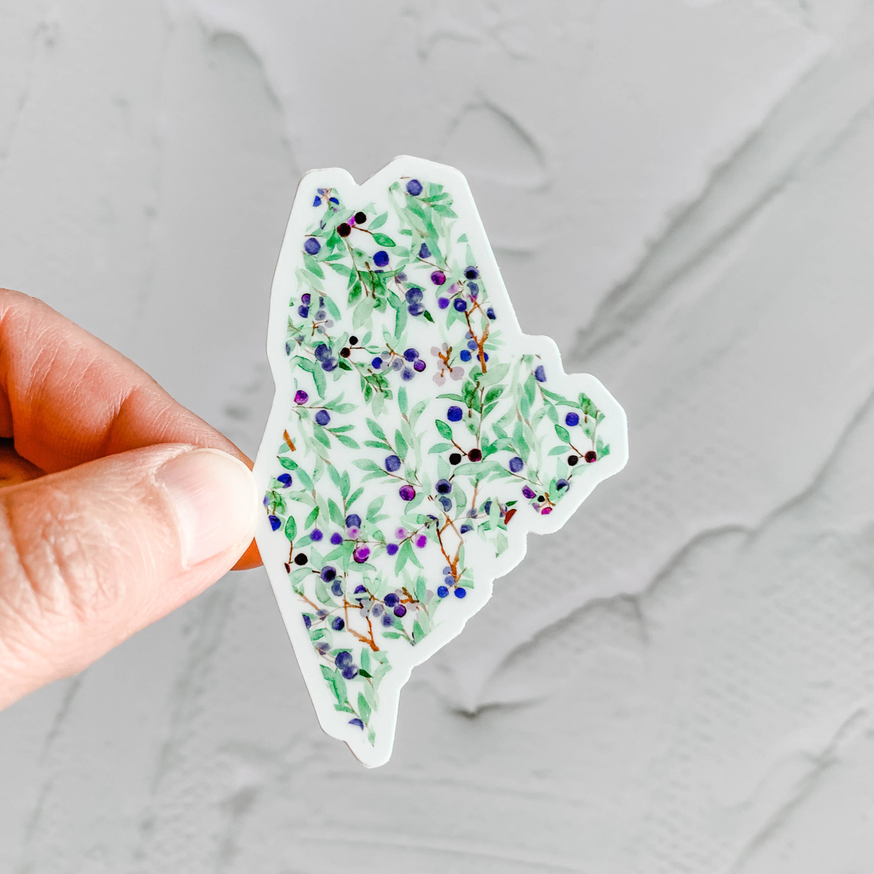 Wildflower Paper Company - Vente Autocollant - Pack de démarrage autocollant État du Maine5