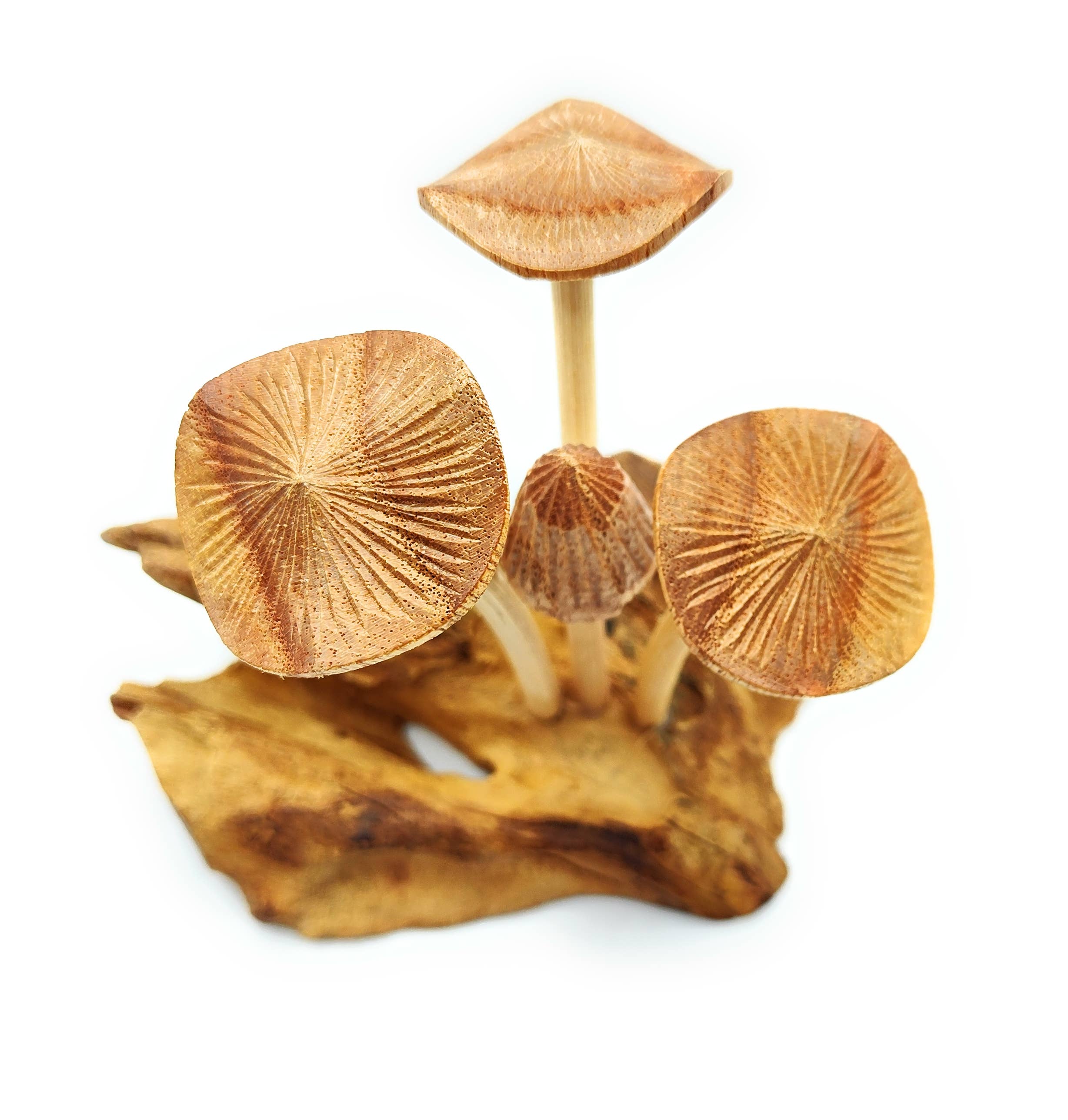 OTOP USA - Wholesale Decorative Tabletop Object - Pleated Mushroom Small4