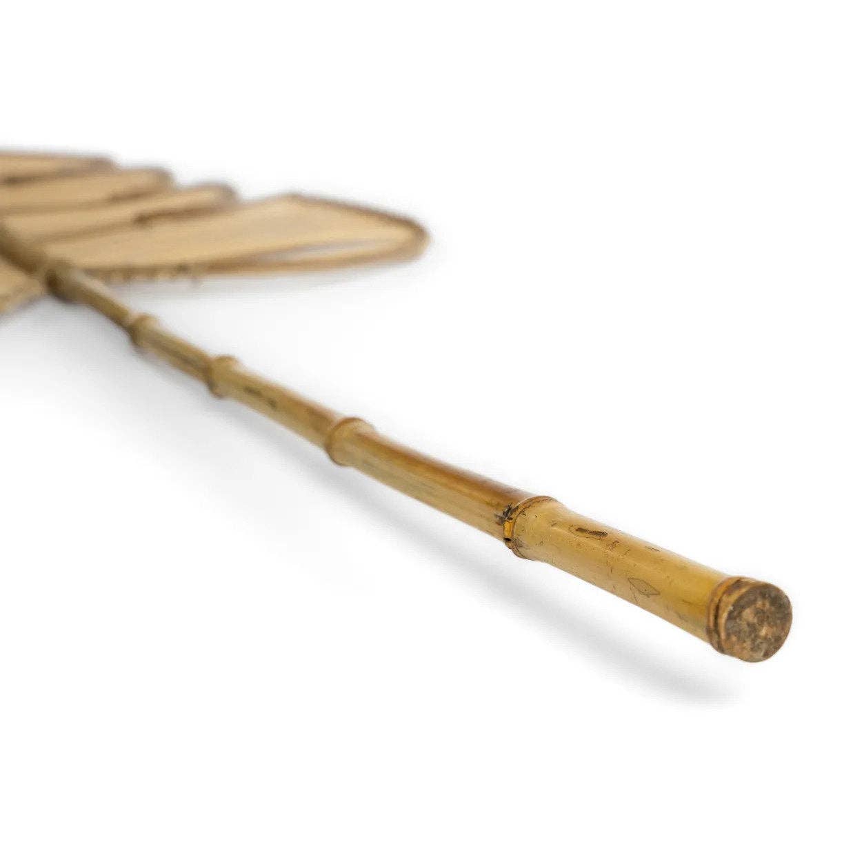 Bazar Bizar Living – wholesale Dekorativt bordsobjekt – Rattanmonstera i naturlig färg5