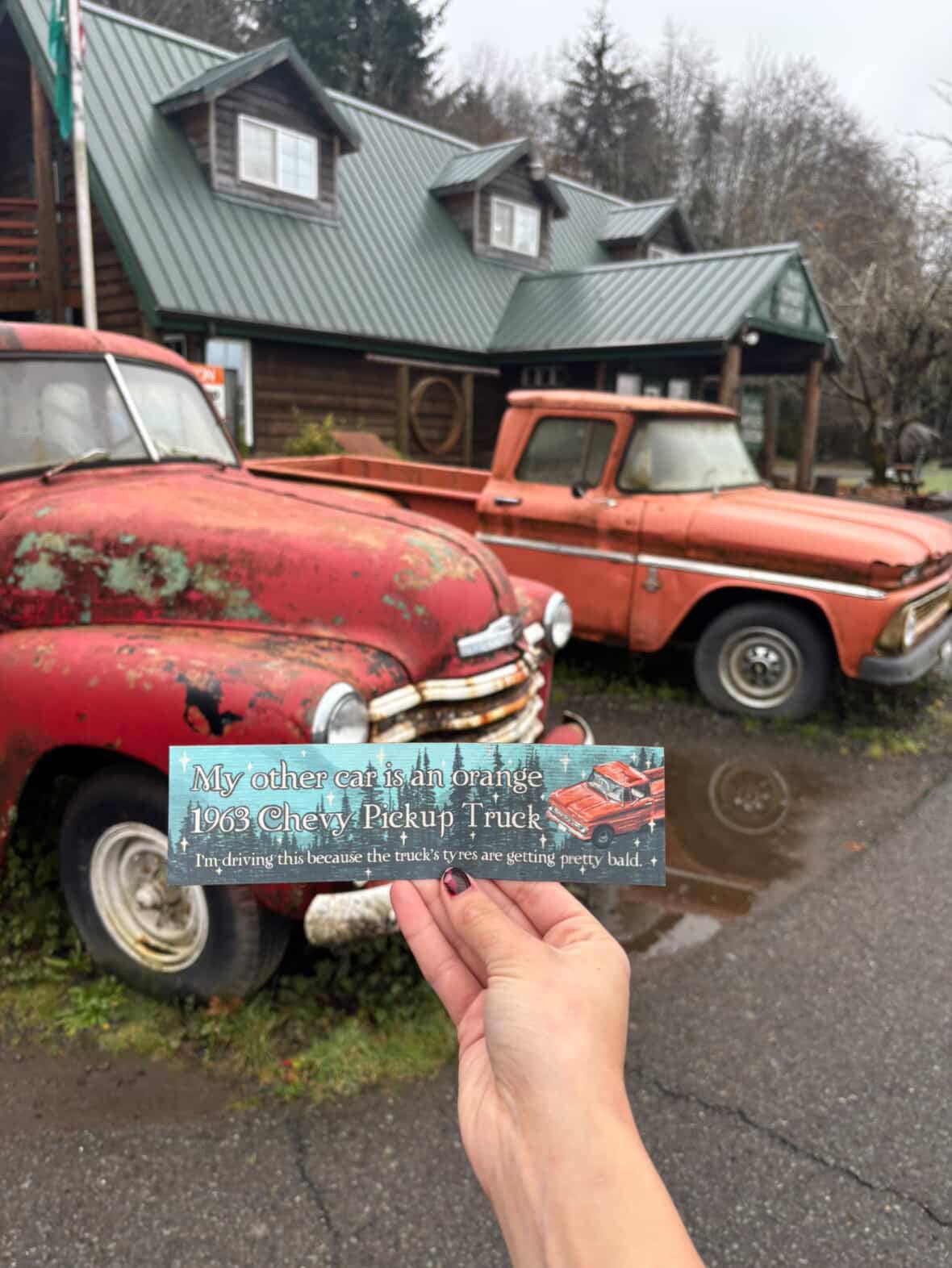 Clarice Tudor - Wholesale Sticker - Twilight Magnetic Bumper Sticker1