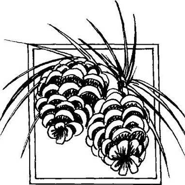 Estrutura de PC - montagem aderente por atacado de Emerald Creek Craft Supplies