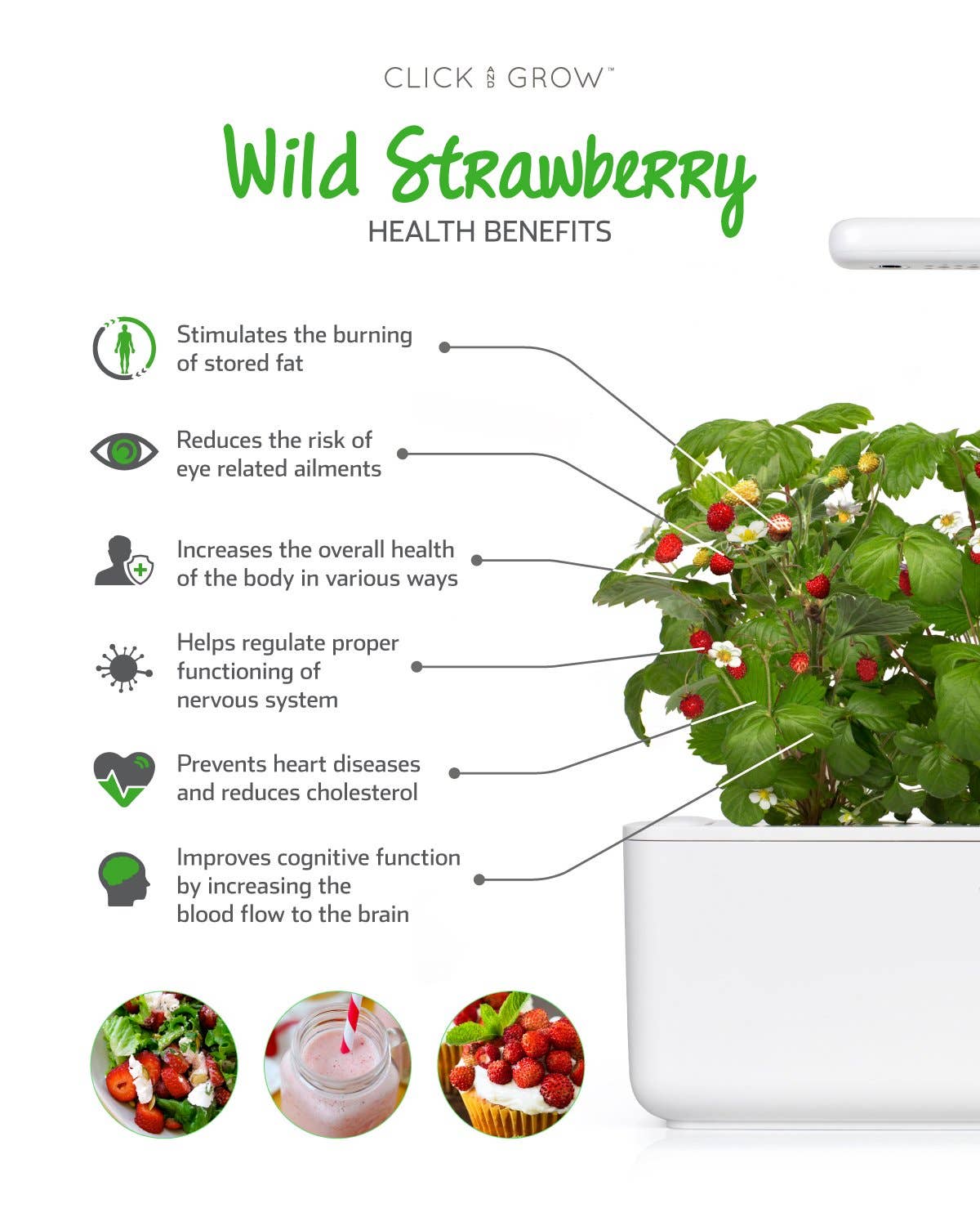Click and Grow - Vente Graines de plantes - Gousses de Fraise des Bois2