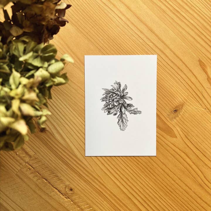 Postcard "Chrysanthemum" (10.5 x 14.8 cm) for wholesale by Maëlle LESAGE