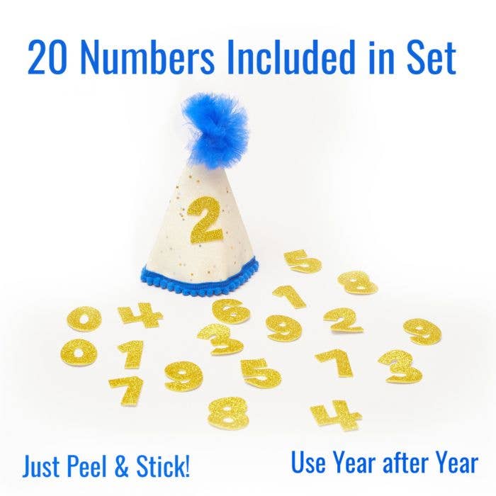 PetLondon – wholesale Pet hat – Dog – Royal Blue Custom Happy Birthday Party Hat2