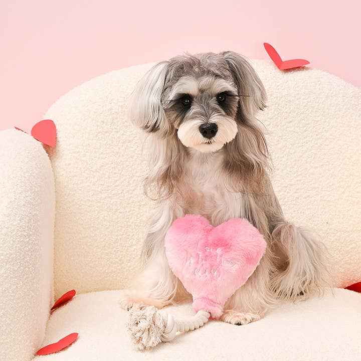 Hugsmart Products Inc - Wholesale Pet Plush Toy - Dog - HugSmart Pet - Woof Love | Love is in the air - Plush Toy