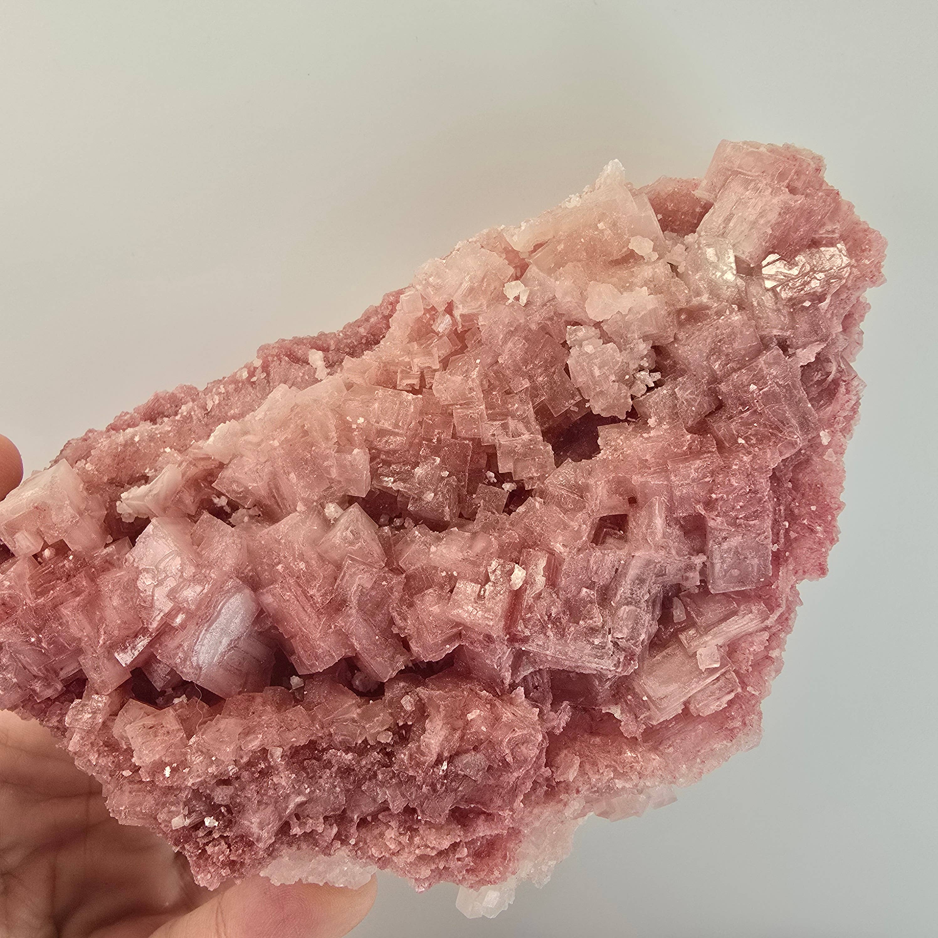 Aquamarine Daydream Wholesale - Wholesale Spiritual Stone/Crystal - 6pc Pink Halite ~ Bulk Mineral Flats ~ Crystal Specimens #54