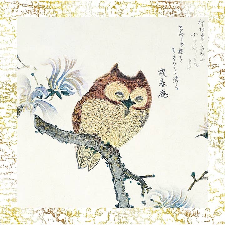 Owl On A Magnolia Branch - Fine Art Card for wholesale by Nelson Line