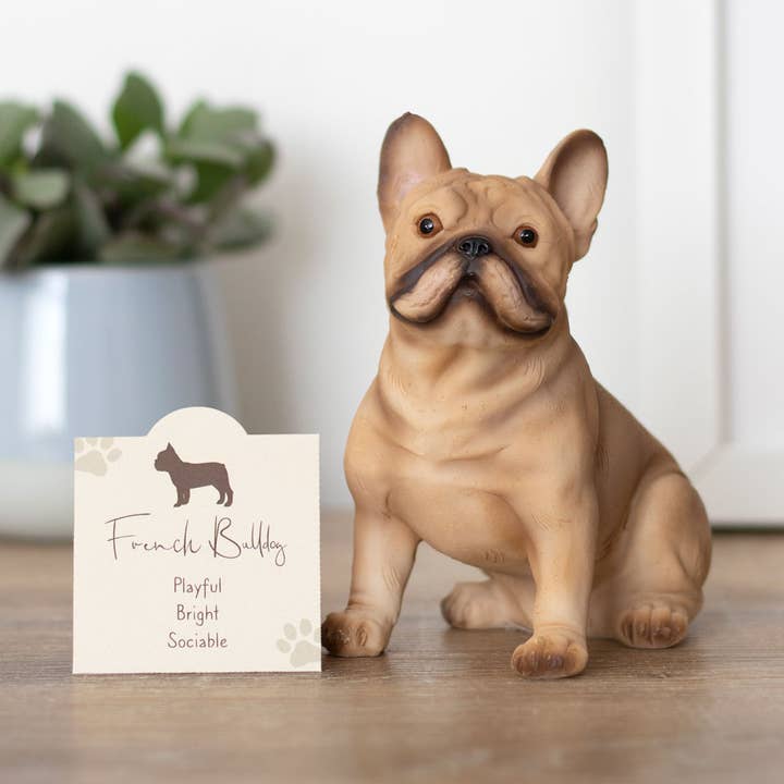 Figurine décorative en forme de bouledogue français pour la vente par Something Different Wholesale