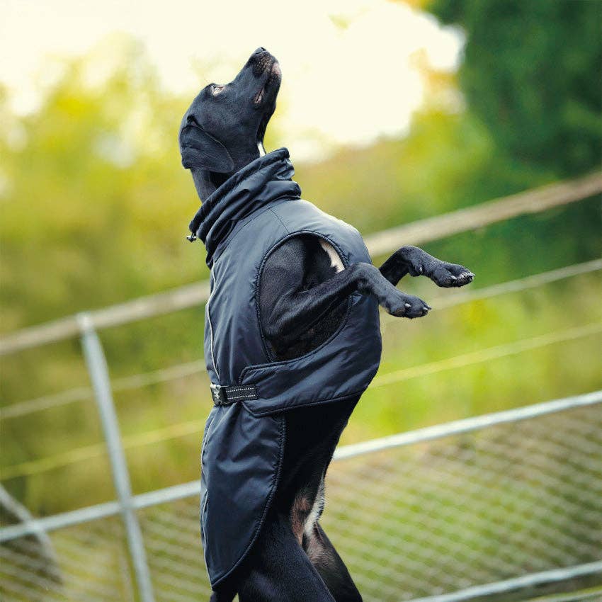 Croci - Wholesale Pet Coat - Dog - Urban padded jacket for dogs0