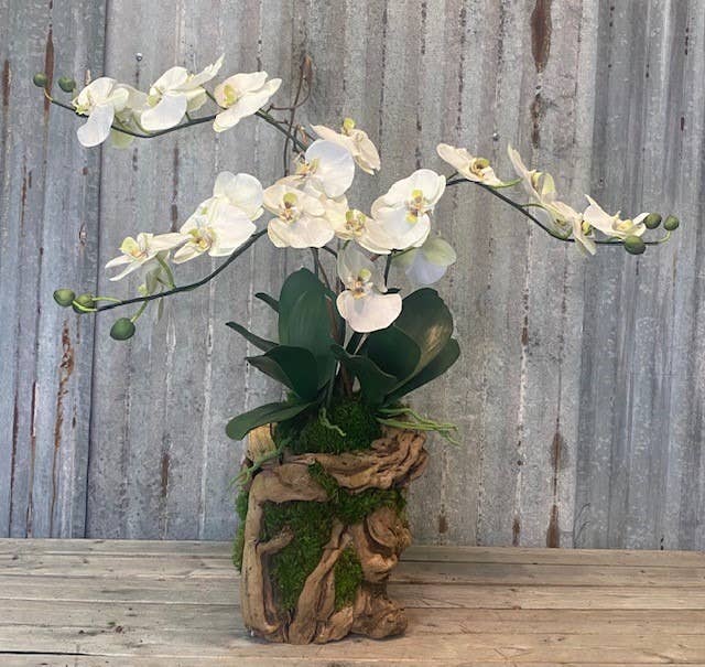 Forever Green Art - Vendita all'ingrosso Fiori finti - Orchidea Vite Grande