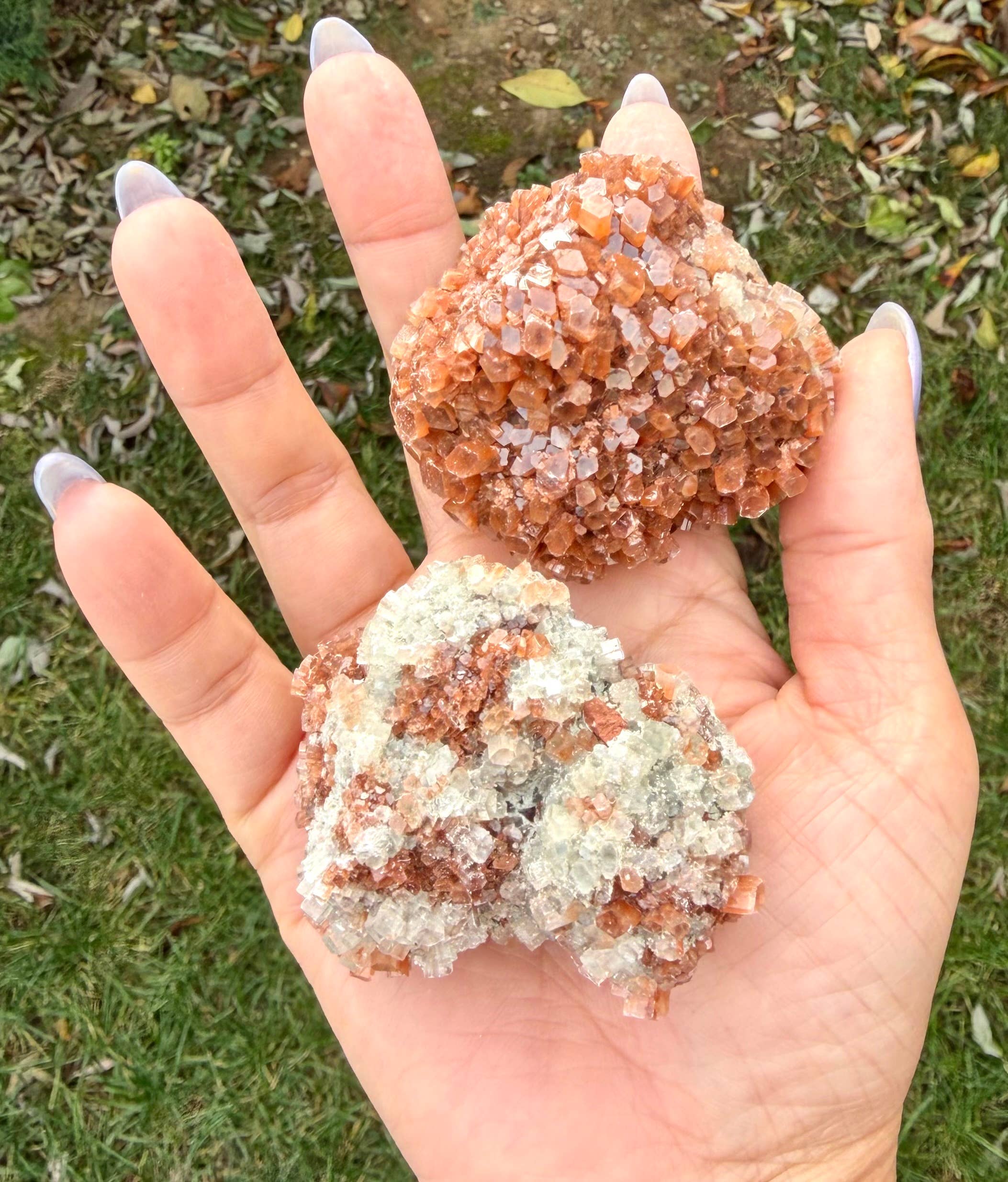 KayleeNYC - Wholesale Spiritual Stone/Crystal - 2 lbs Natural Aragonite Cluster Raw Crystal5
