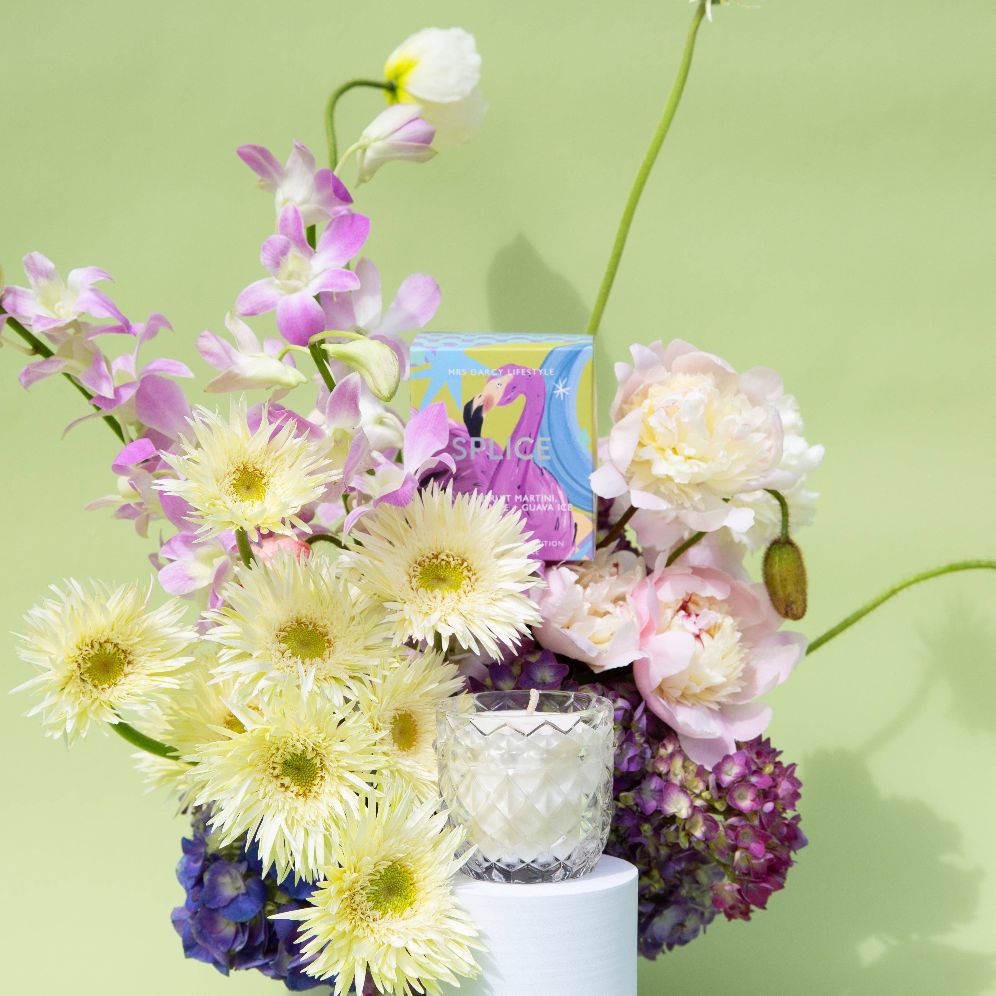 Mrs Darcy - Wholesale Jar/filled candle - Aurora Mini Candle - Splice - Passionfruit Martini, Sliced Orange + Guava Ice2