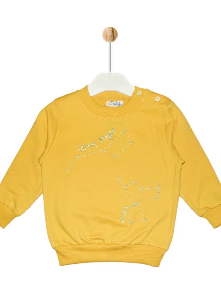Sweatshirt "Ursa Major" for wholesale by Be Silly Kids