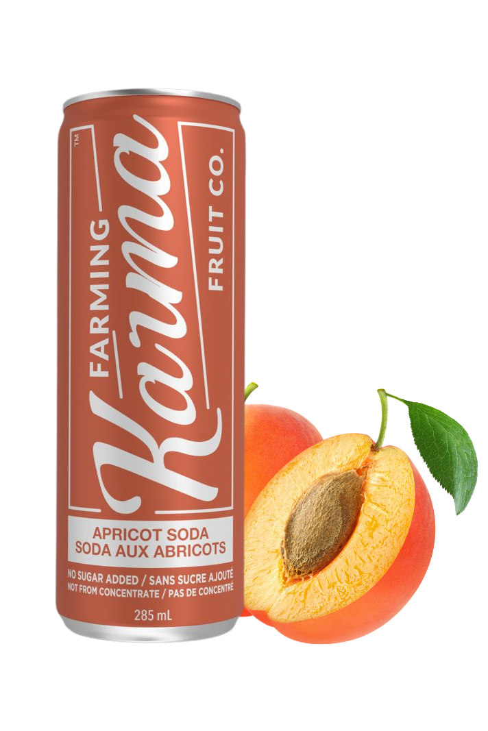 Farming Karma Fruit Co. Ltd - Wholesale Soda/Carbonated Drink - Apricot Soda (4 pack)1
