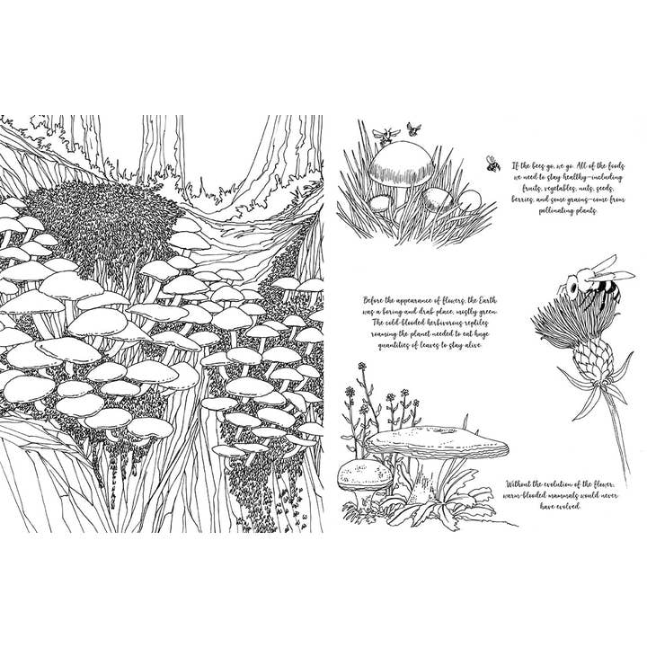 Insight Editions - Wholesale Coloring Book - Adult - Fantastic Fungi: The Coloring Book
