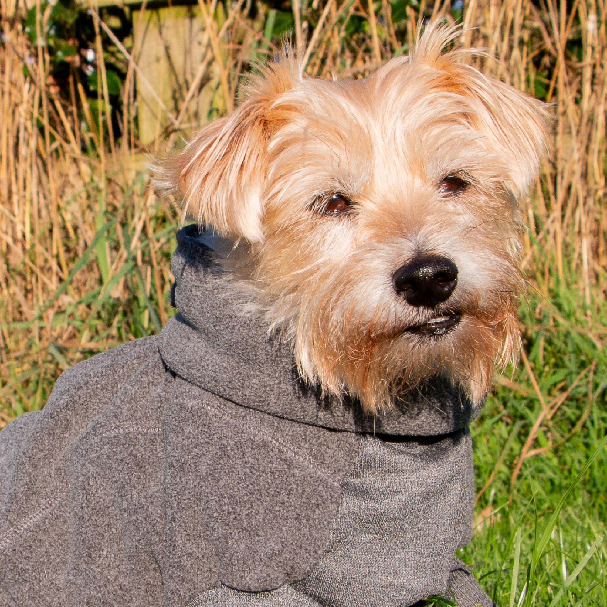 Ancol Pet Products Ltd - Wholesale Pet Coat - Dog - Polar Fleece Dog Jumper Grey2