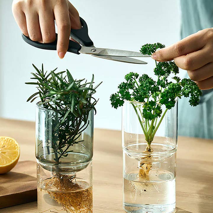 HARIO USA - Wholesale Vase - Glass Flower Vase17