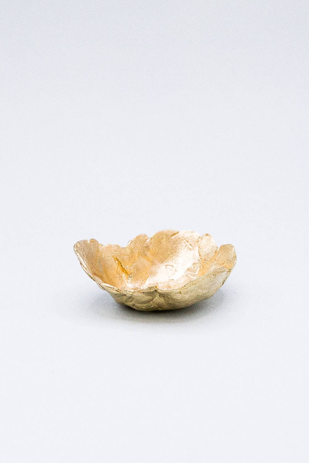 Câpâ - Wholesale Decorative Plate/Dish/Bowl - Coquita Container