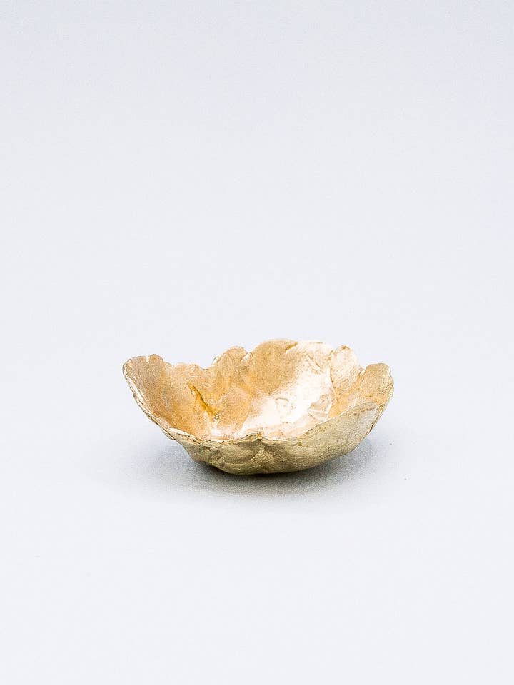 Conteneur Coquita pour la vente par Câpâ