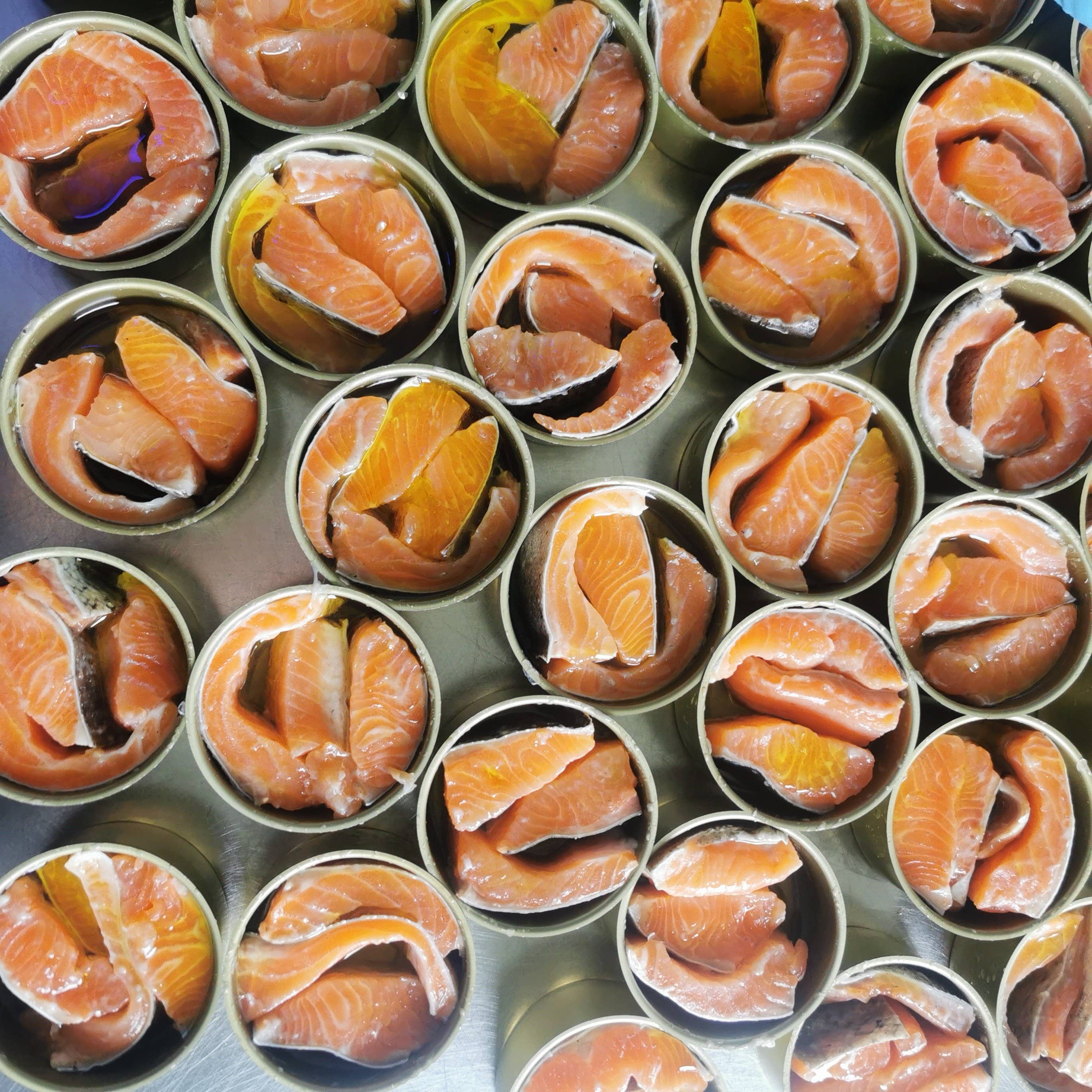 pirate cannerie - Wholesale Tinned Fish - Smoked Pyrenean Trout1