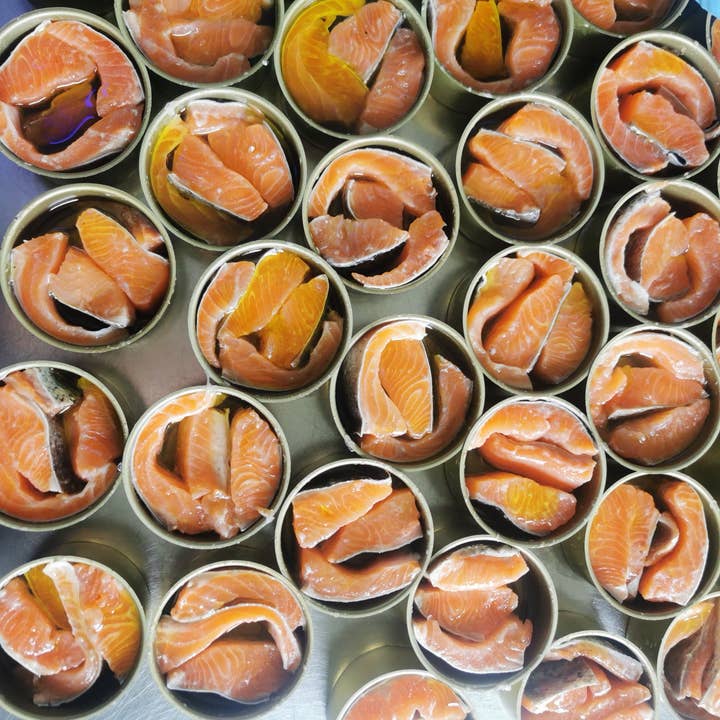 pirate cannerie - Wholesale Tinned Fish - Smoked Pyrenean Trout1