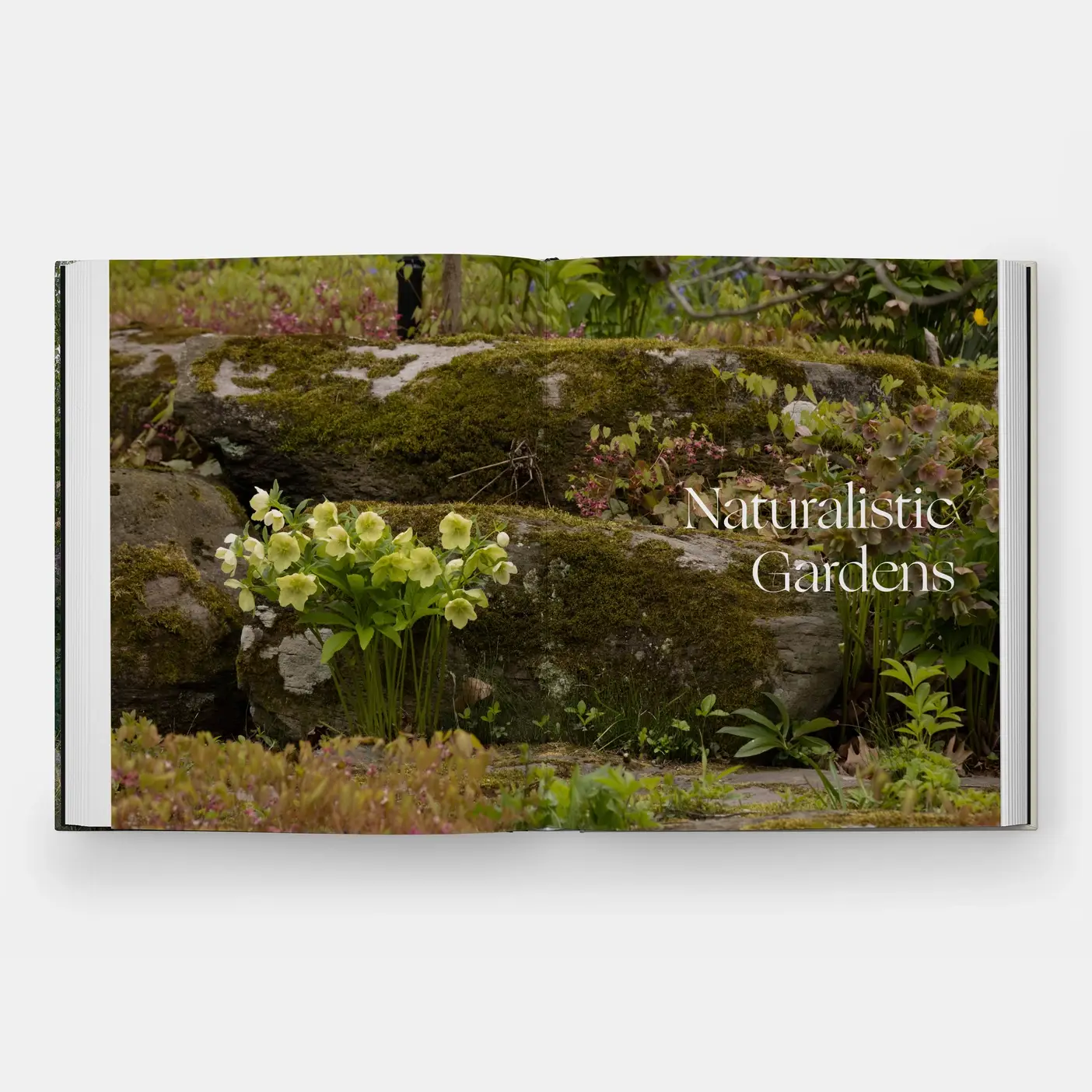 Phaidon - Wholesale Home & Garden - The Art Of Fine Gardening5