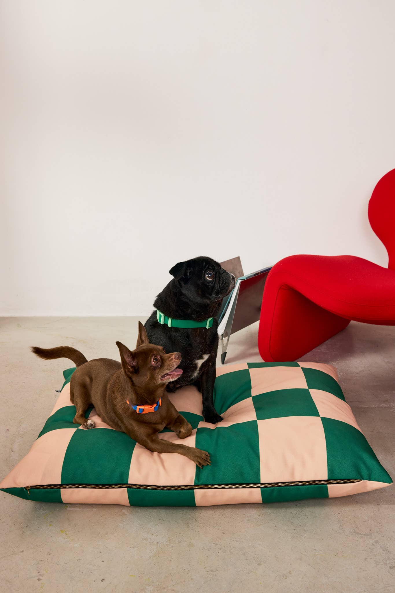 Approved by Fritz - USA – Engroshandel Seng - Hund – Fritz Hundeseng | Genanvendt | Maskinvaskbar2