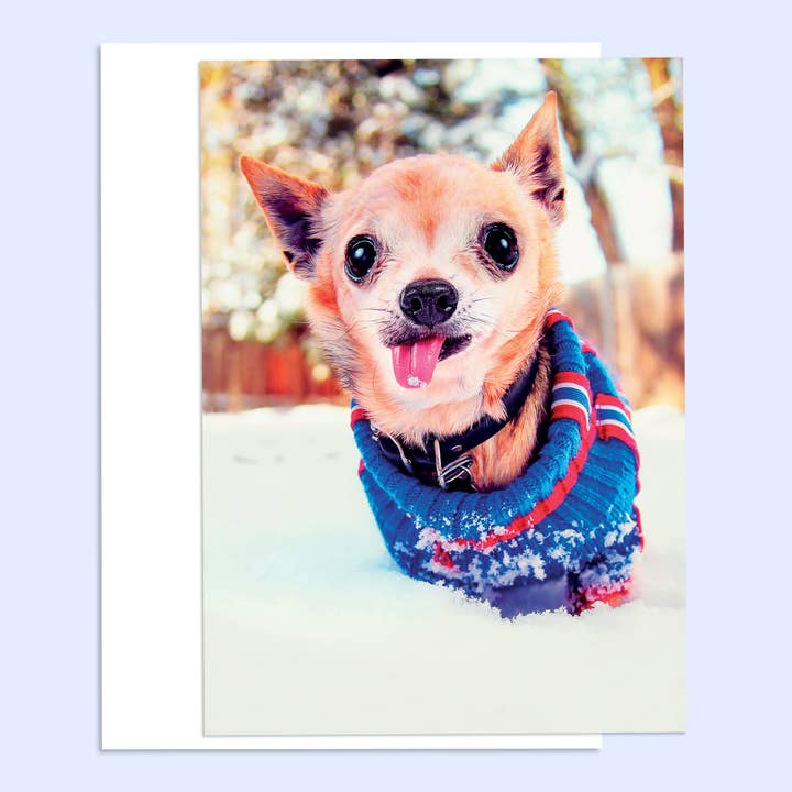 Catching Snowflakes Happy Holidays Greeting Card for wholesale by Northern Exposure