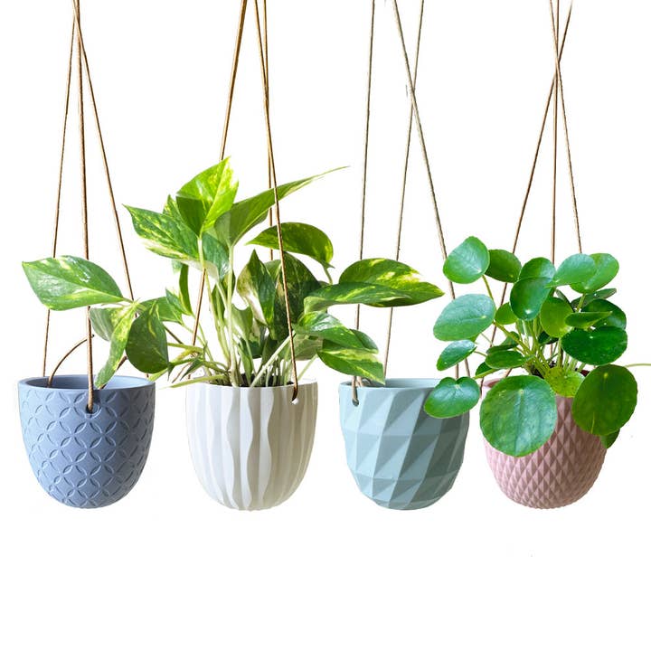 Chive - Wholesale Hanging Planter - Virago Ceramic Modern Hanging Planter6