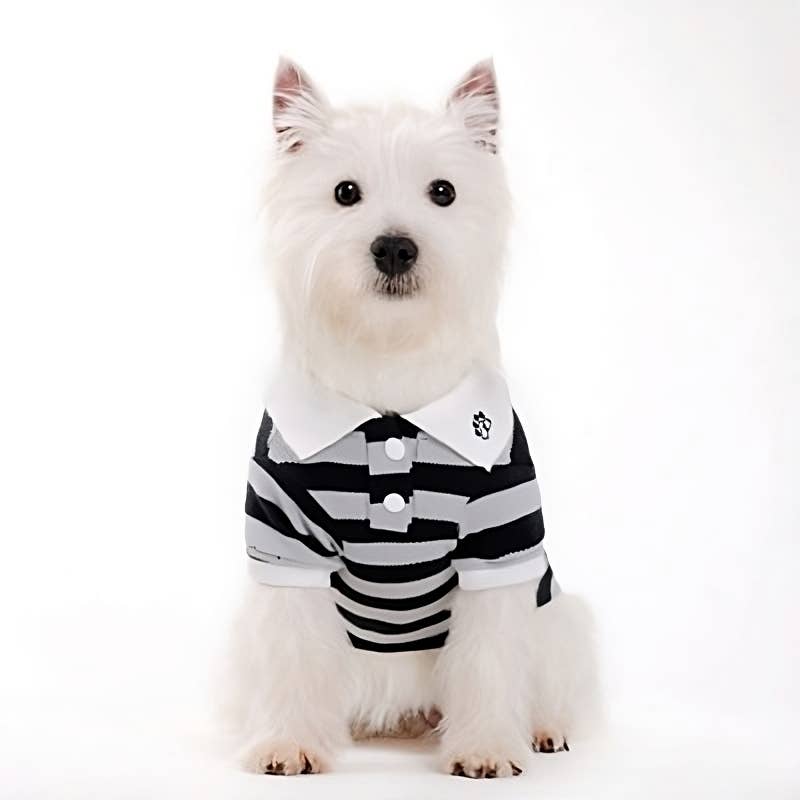 Dogo Pet - Wholesale Pet Shirt - Dog - PP Stripe Polo Shirt22