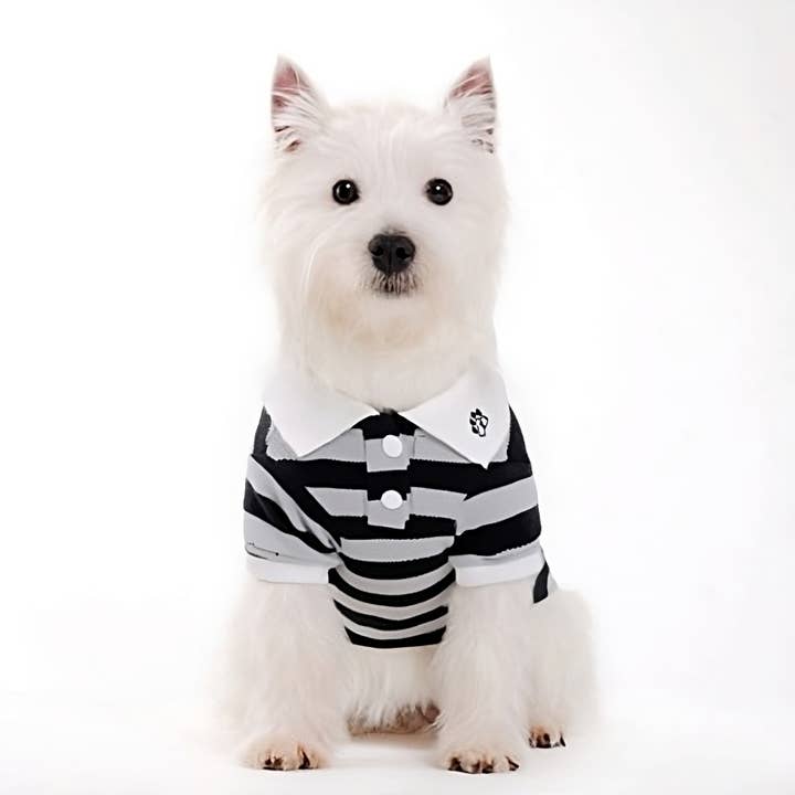 Dogo Pet - Wholesale Pet Shirt - Dog - PP Stripe Polo Shirt22