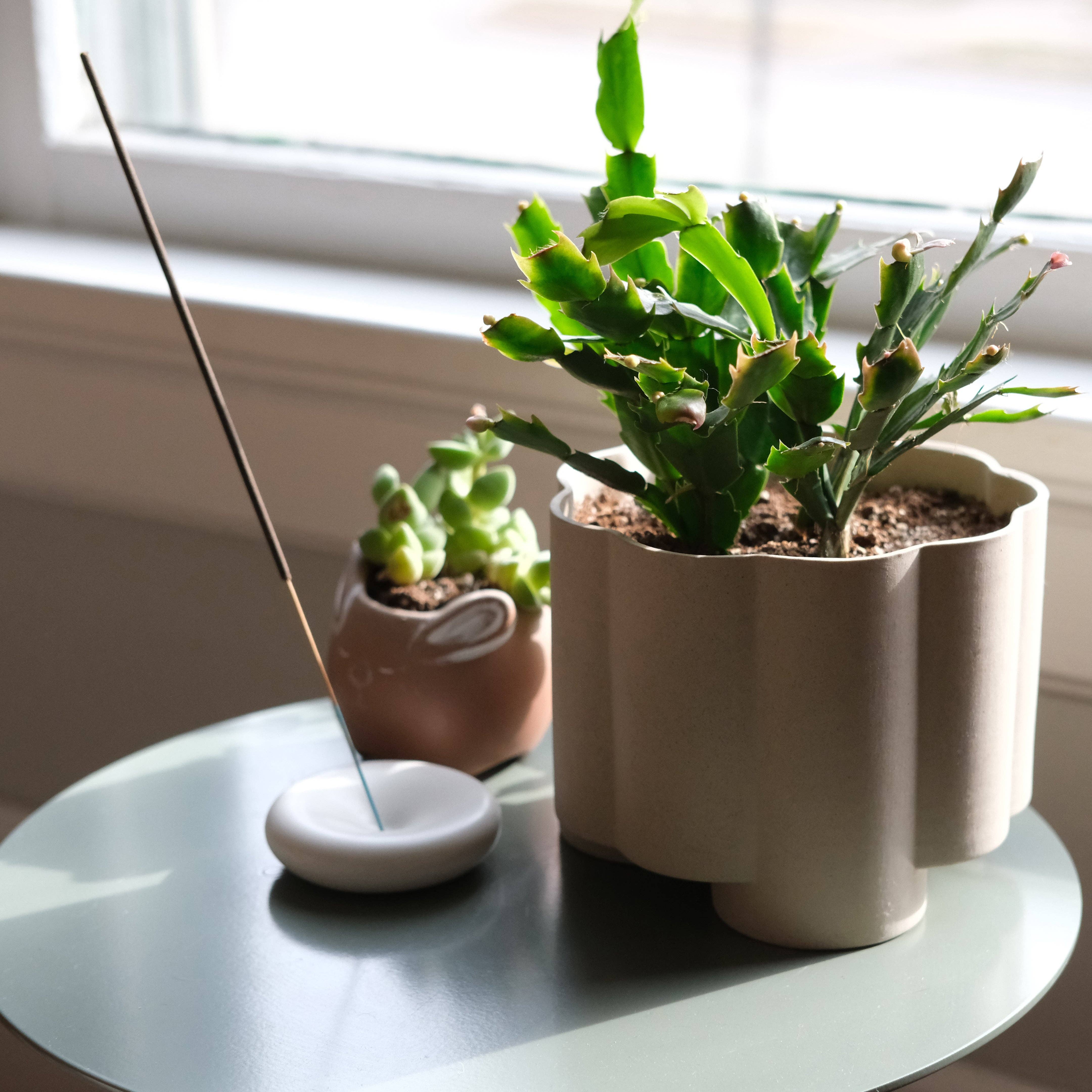 Misewell - Wholesale Plant Pot - Pillar Planter6