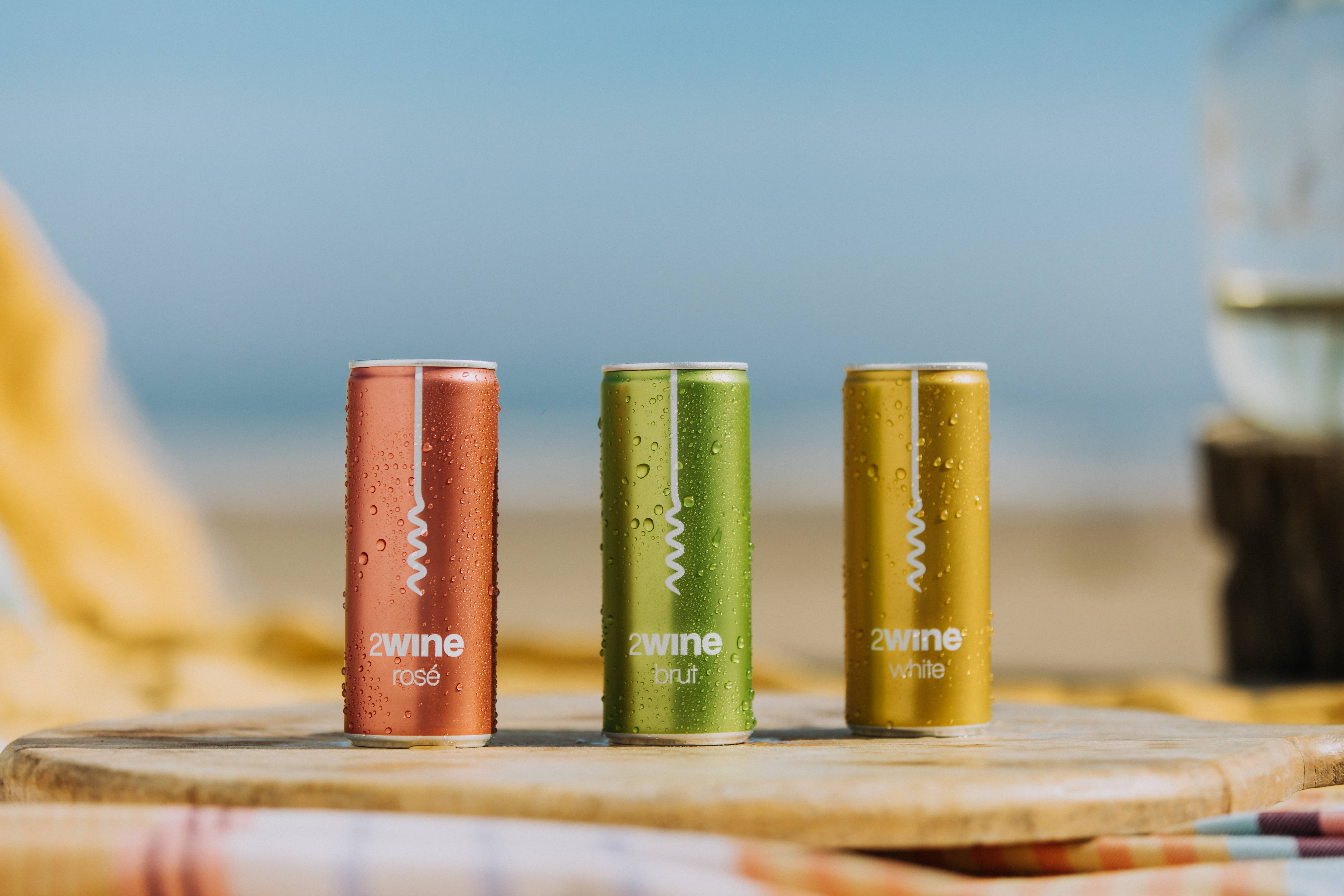 2WINE - Venta al por mayor Champán/vino espumoso - 2Wine Brut en lata1