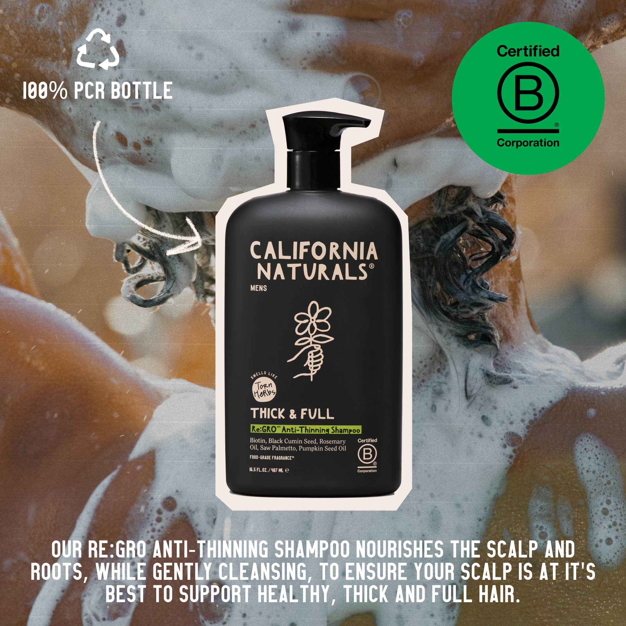 California Naturals - Wholesale Hair Shampoo - Men's - Mens Re:GRO Anti-Thinning Shampoo4