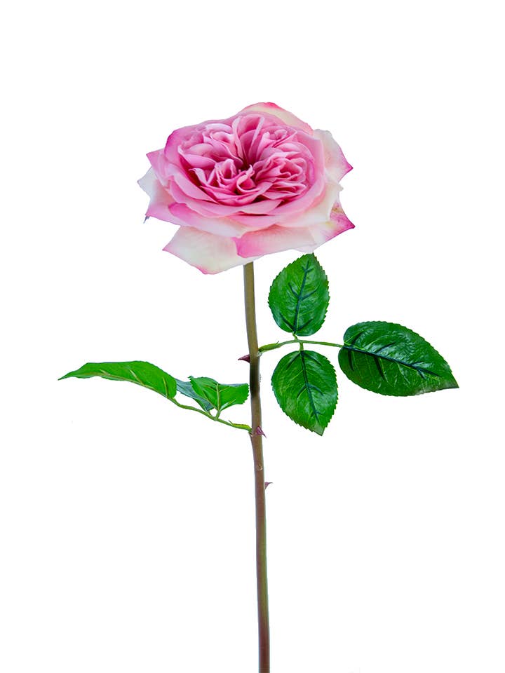 American Best - Wholesale Artificial Flowers - 24" REAL TOUCH GARDEN ROSE STEM3