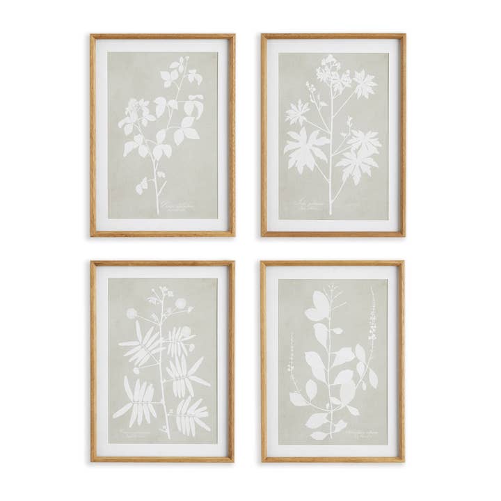 Napa Home & Garden – wholesale Gallery wall set – Foliage Study, Set Of 4