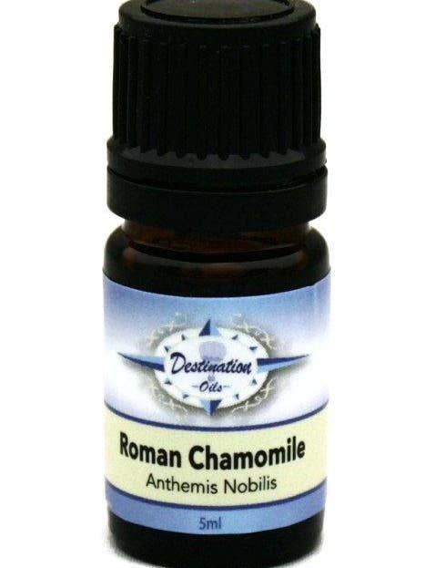5ml Pure Roman Chamomile Essential Oil - Destination Oils for wholesale by Destination Oils