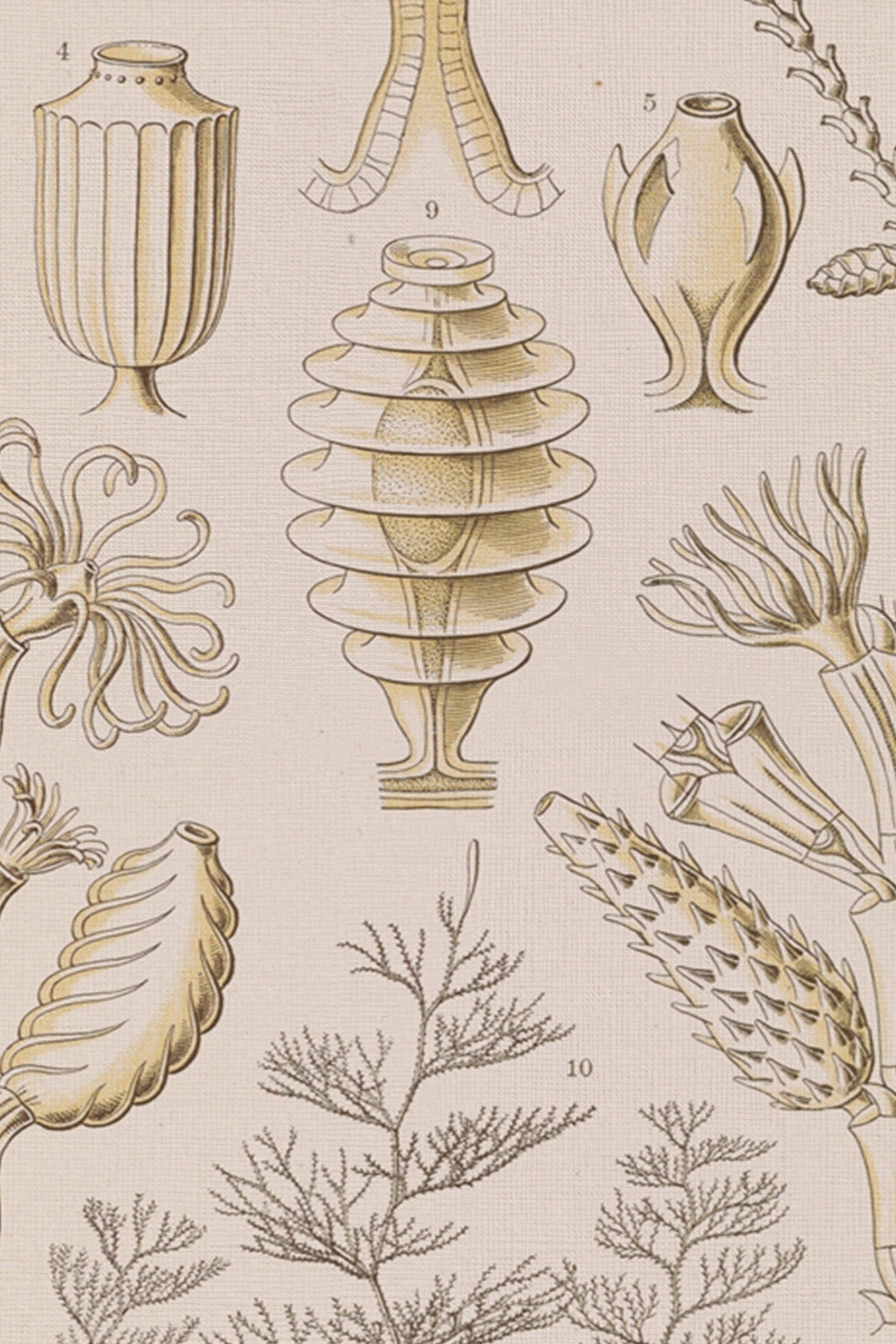 Oleka Canvas - Wholesale Art Print - ESSENCE MARINE, canvas wall art print2