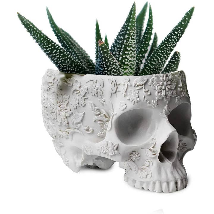 The Wine Savant / Khen Glassware – wholesale Plant pot – Skull Plant Planter 6" H Polyresin Skull - Halloween, Fall