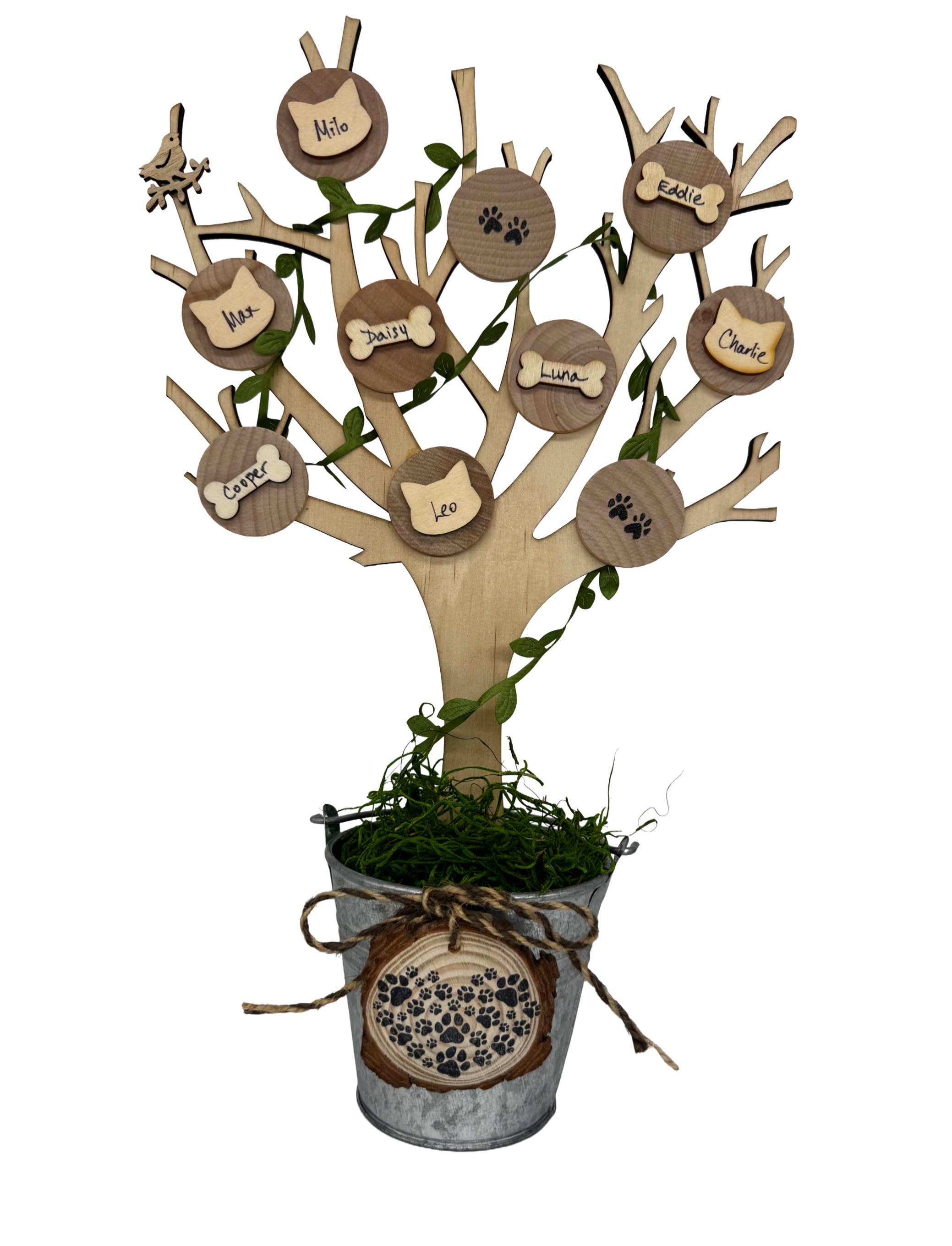 FamilyTree Traditions LLC - Wholesale DIY Craft Kit - Rustic Family Pet Tree, Craft Kit1