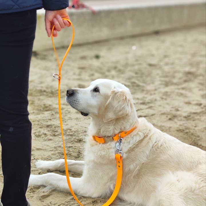 Splash By Happy - Wholesale Pet Leash - Dog - Biothane® single leash11