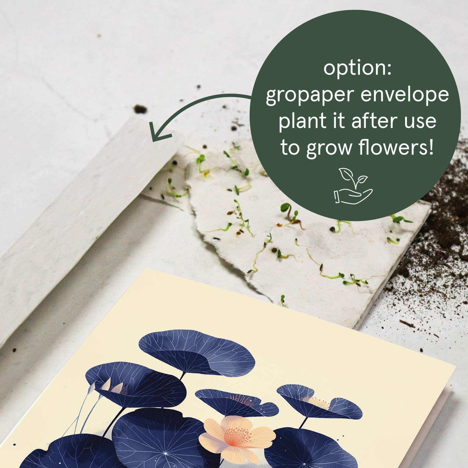 Botanopia - gifts , decor and cards for plant lovers - Vente Carte de vœux classique - Capucines | Carte de vœux quotidienne | Fleur du mois de naissance7